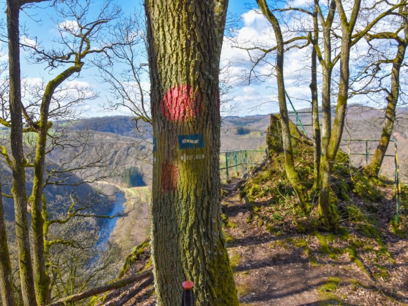 5 Luxembourg Hikes on my To-Do List for&nbsp;2026