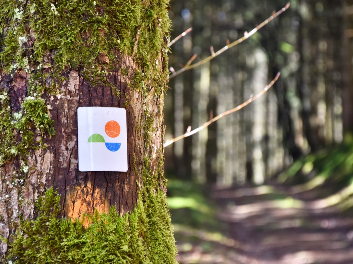 Eislek Pad Heinerscheid