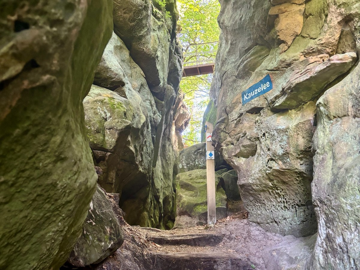Auto-Pédestre Nommern – One of the Best Short Hikes in the&nbsp;Mullerthal